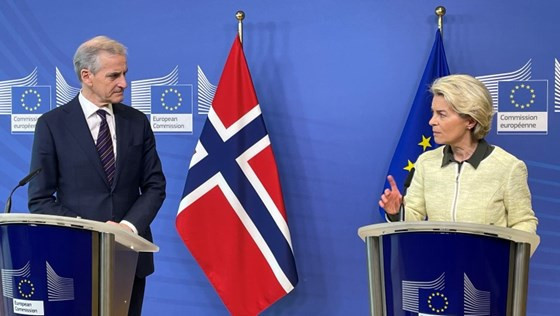 Przedstawiciele euroentuzjastycznej Partii Liberalnej zwracają uwagę, że obecny premier Norwegii nigdy nie prezentował tak mocno antyunijnej postawy.