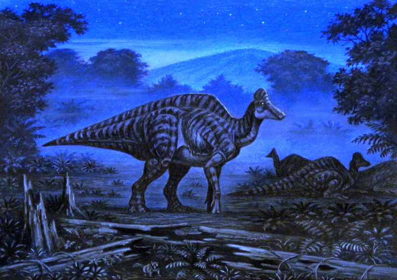 Artystyczna rekonstrukcja Hypacrosaurus altispinus.