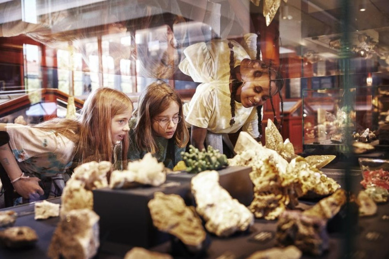 W muzeum znajdują się m.in. szkielety dinozaurów, a także różnorodne zbiory minerały i skały z całego świata.